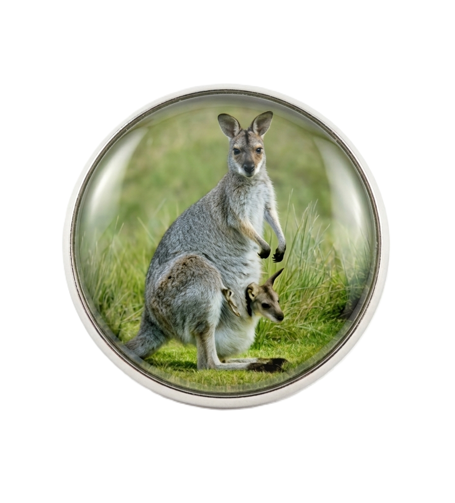 ONYX - GOLF BALL MARKERS (HAT CLIP NOT INCULUDED)